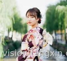 资料咨询计划